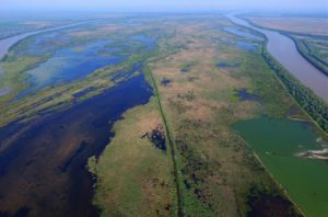 Delta Dunării poate fi exploarată virtual pe Google Maps