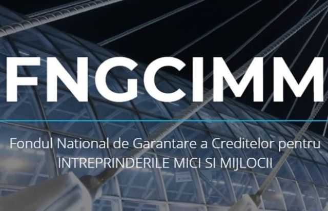 FNGCIMM lansează un instrument financiar de aproape 495 de milioane de lei pentru economia socială. Cum vor fi sprijinite întreprinderile sociale item-thumbnail